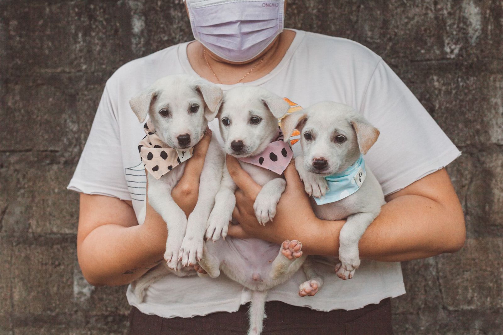 Supporting Dogs In Need