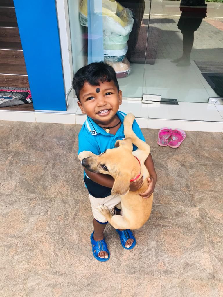 A boy and his dog in Sri Lanka