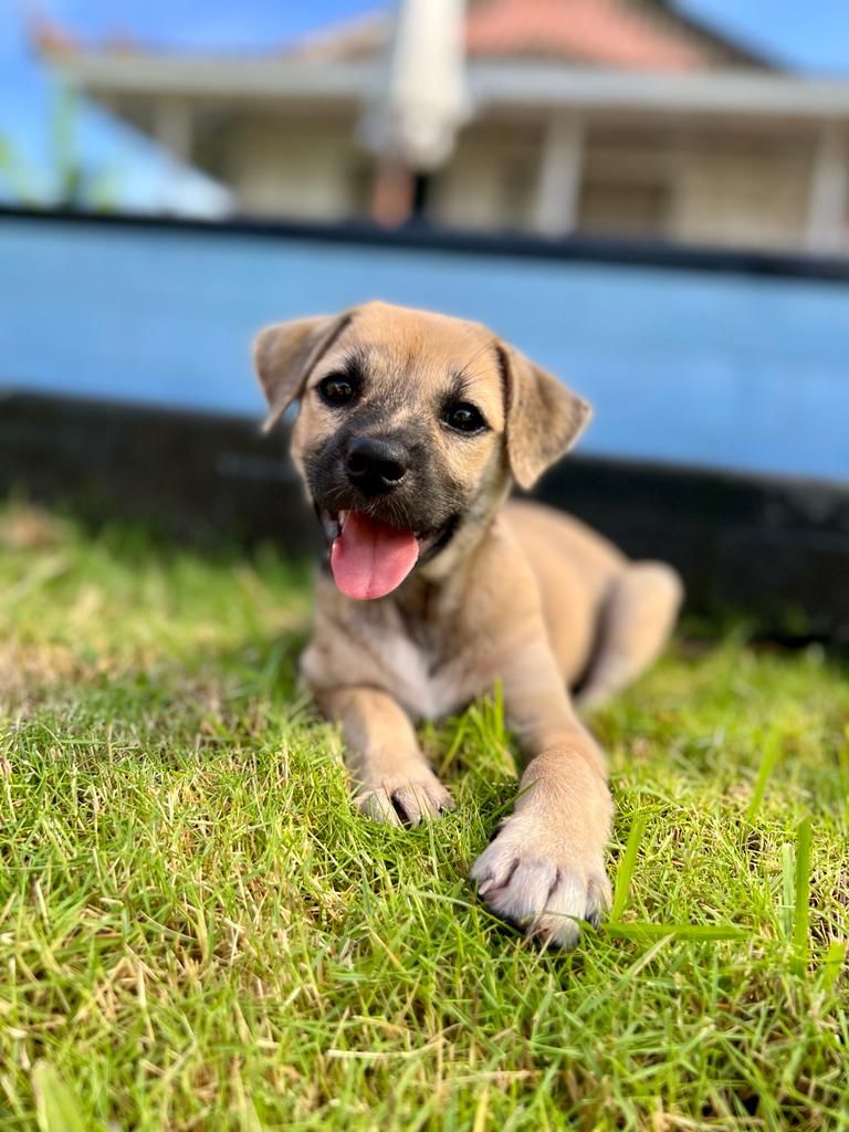 Lucy Love