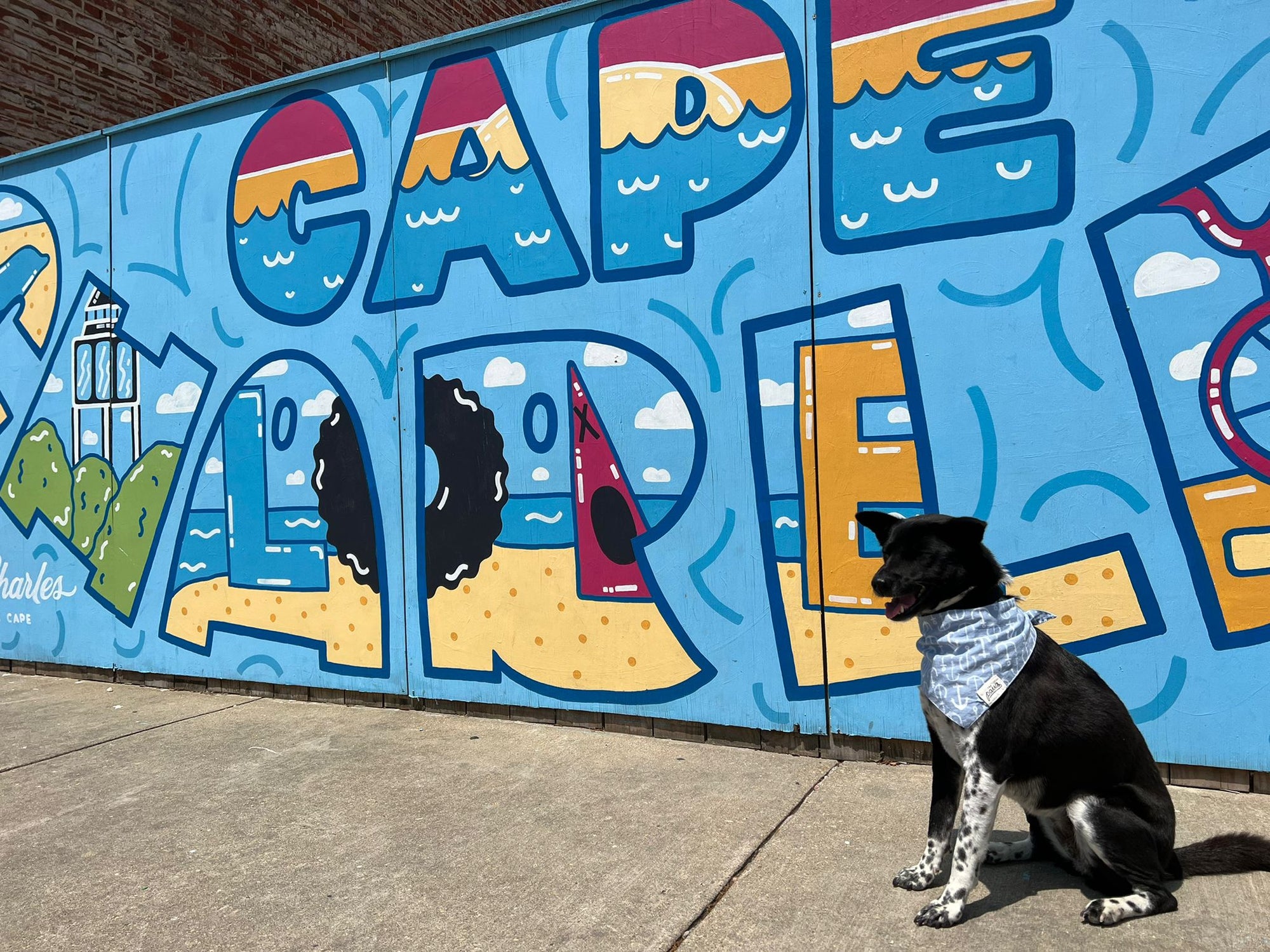 Cape Charles, Virginia - Dog friendly