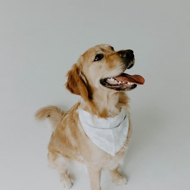 August Etsy Photos