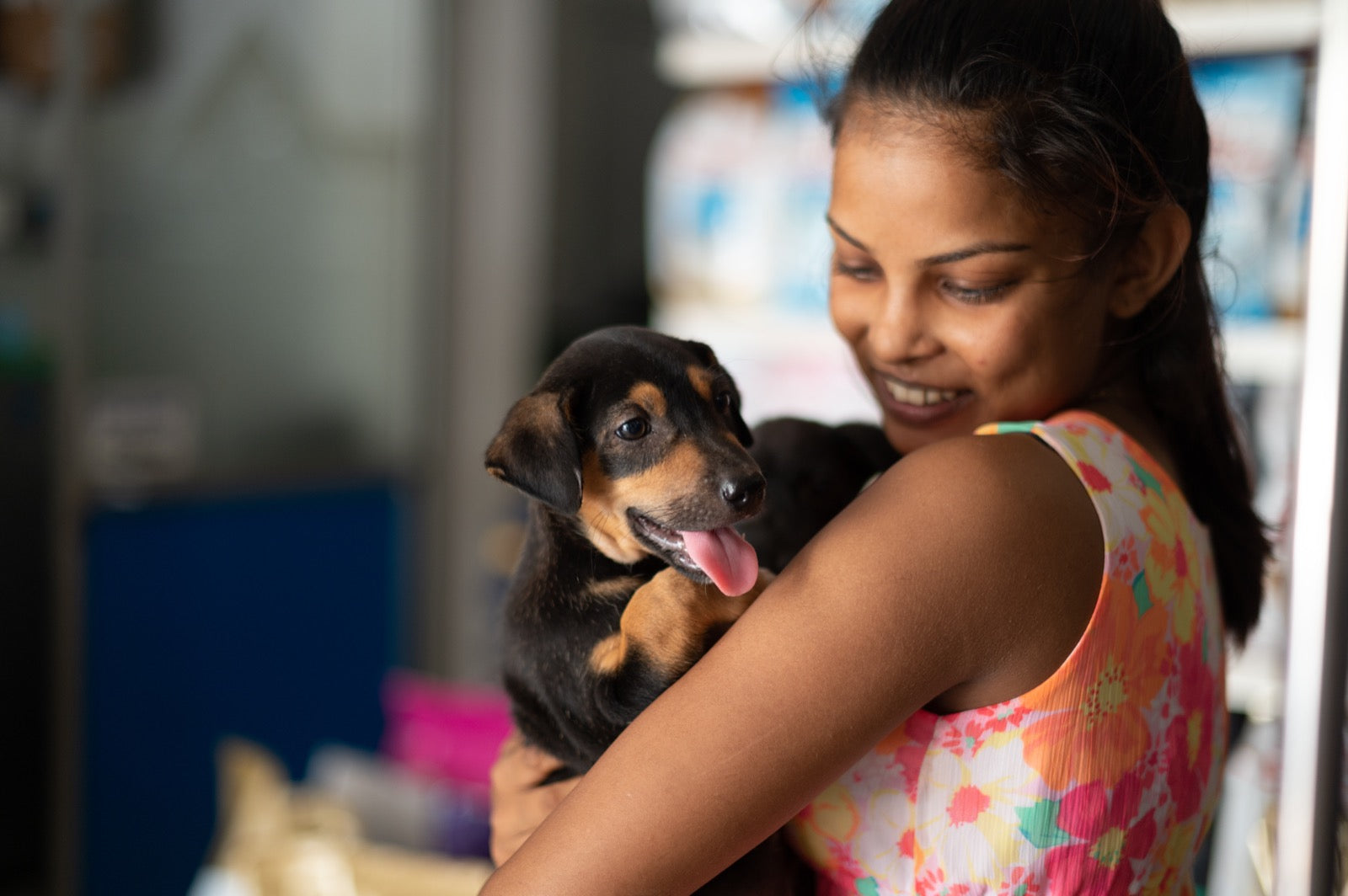Helping dogs in Sri Lanka - The Paws Mission