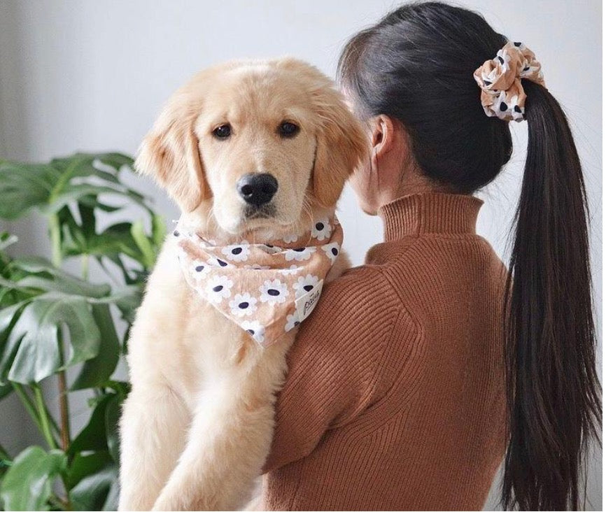 Mothers Day with The Paws