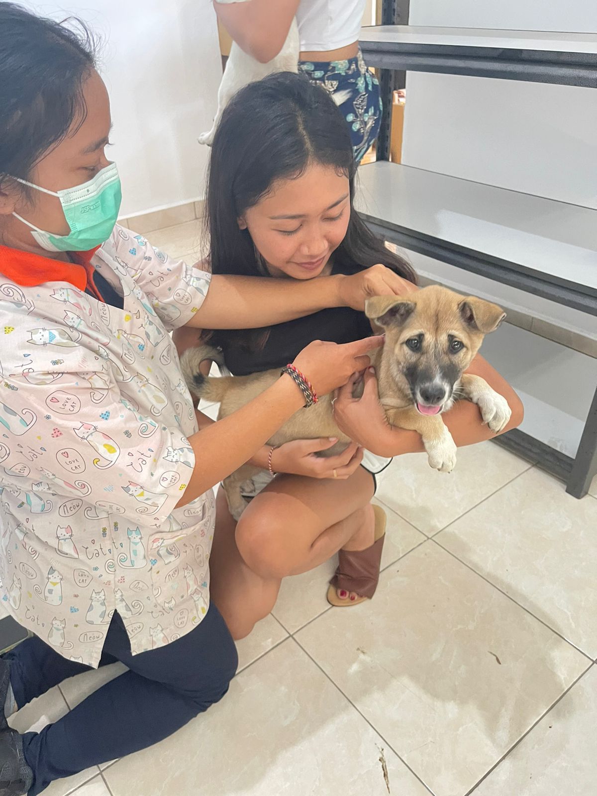 Rescue Pups with The Paws Team in Bali