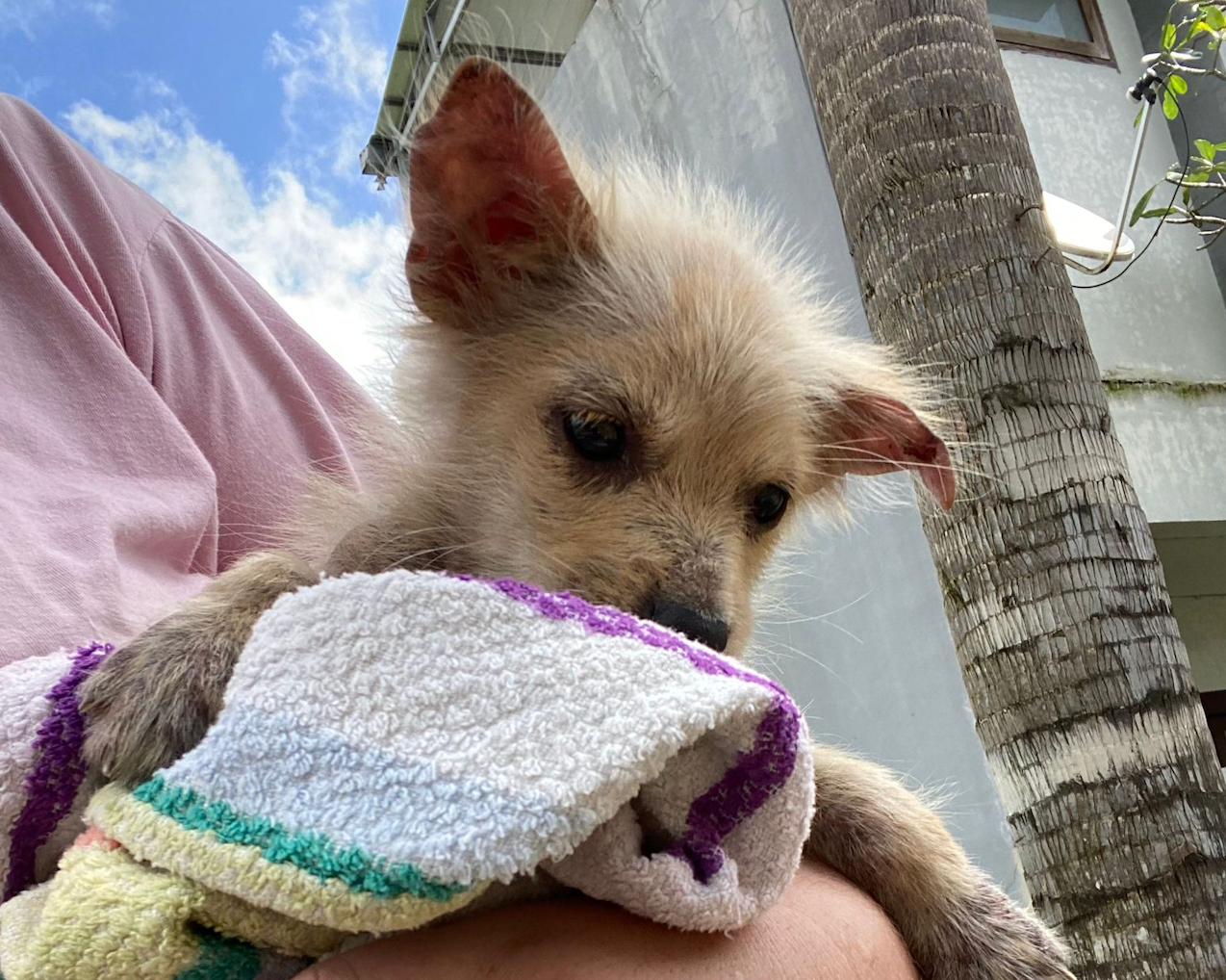 Lovie in Bali