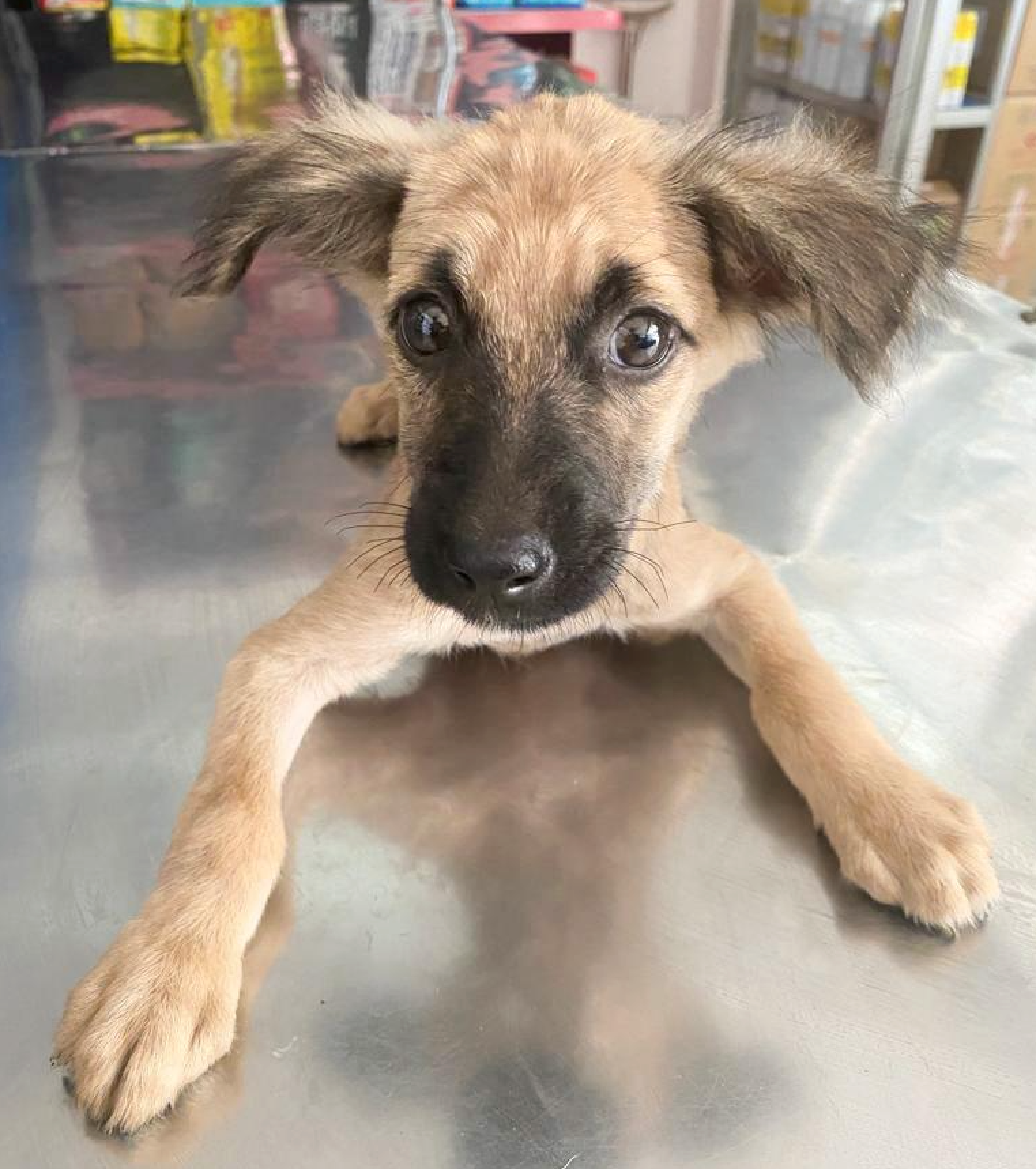First visit to the clinic