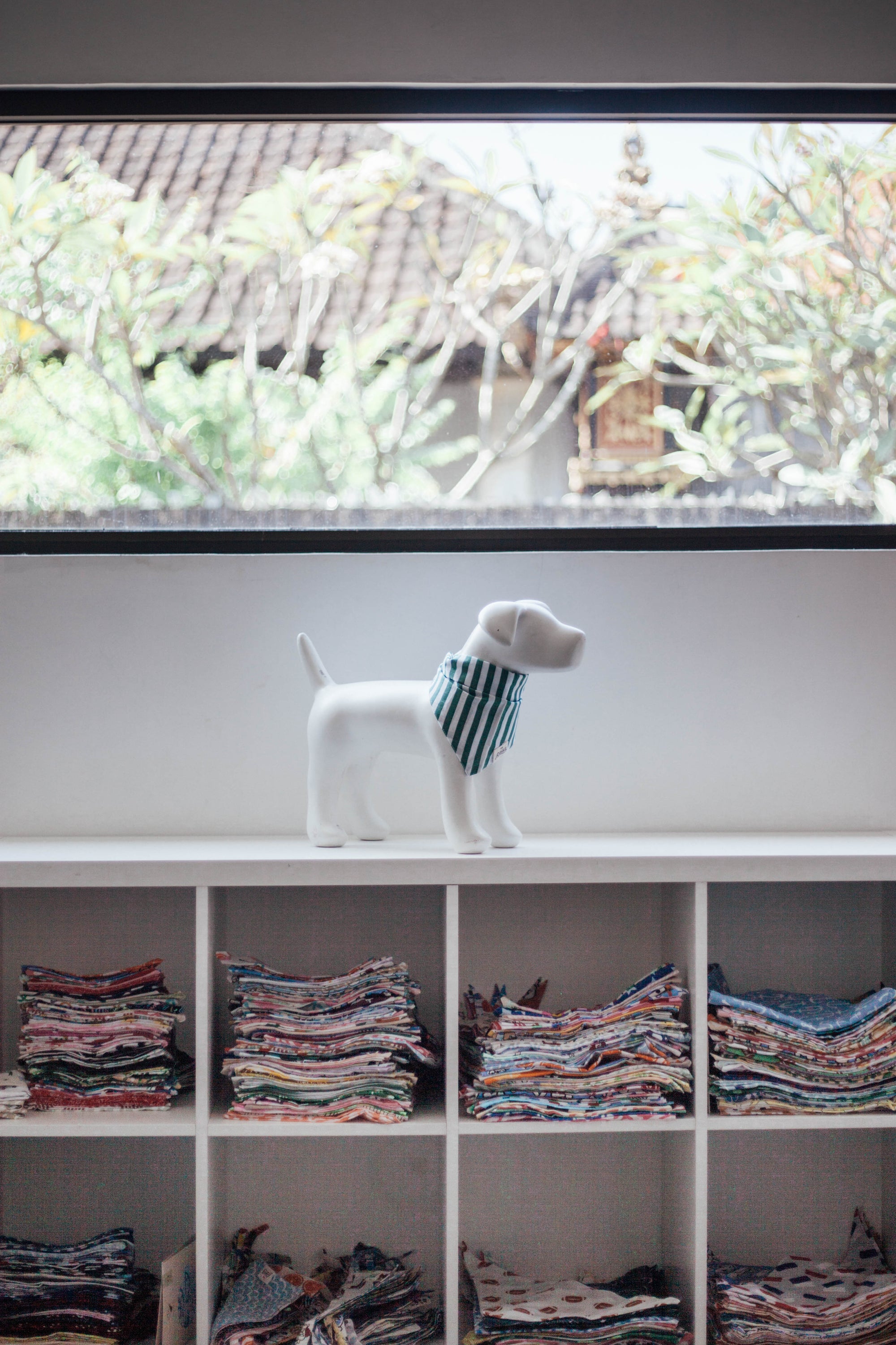 The Paws Bali HQ