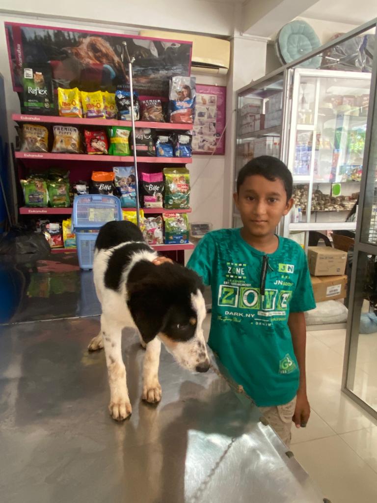 Helping Two Sri Lanka Dogs