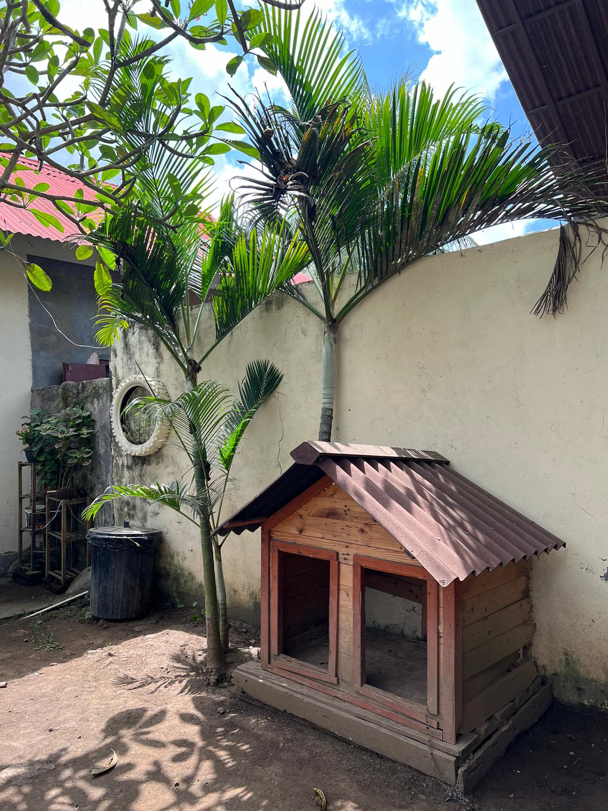 Bali Paws Puppy House