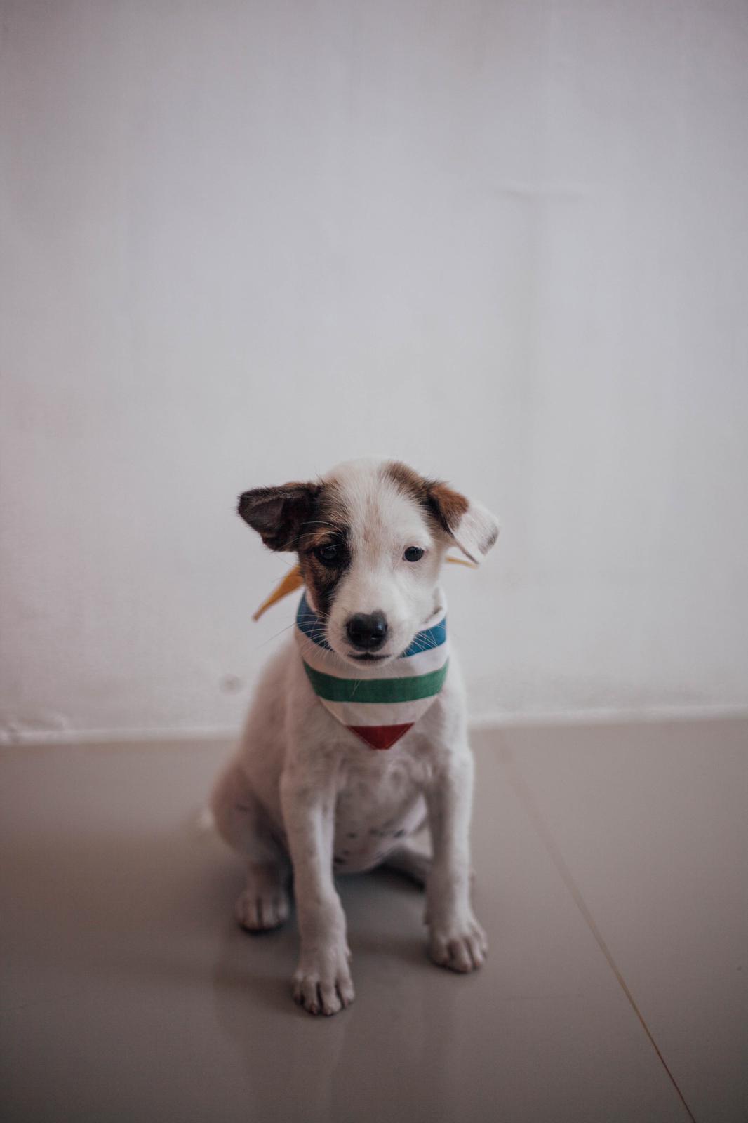 Timie