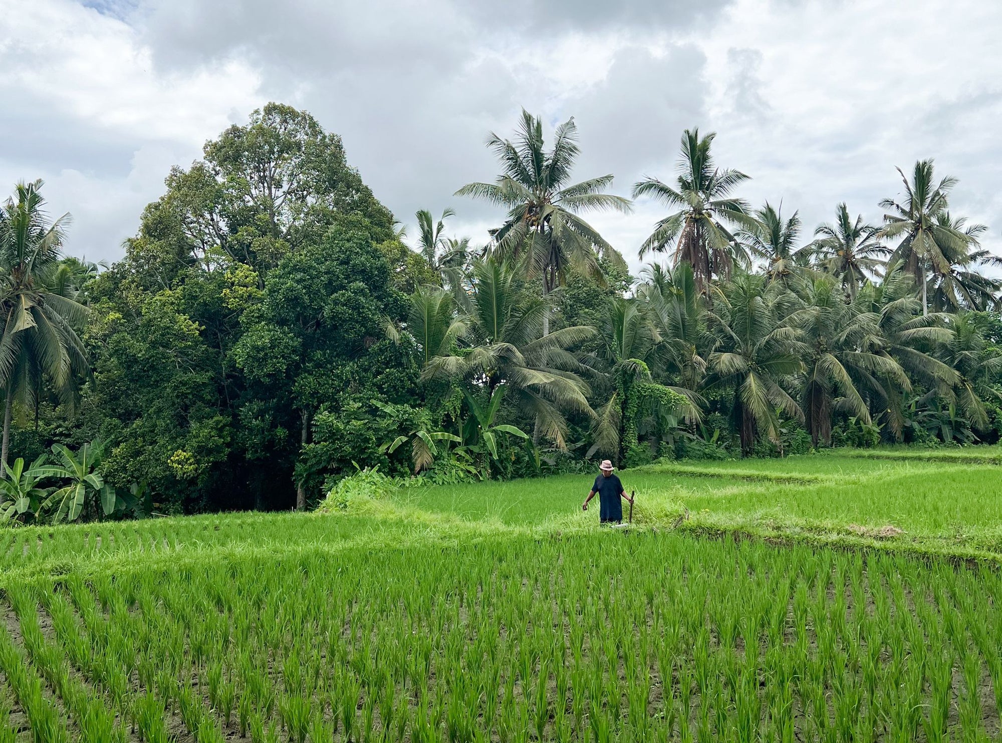 Bali Moments