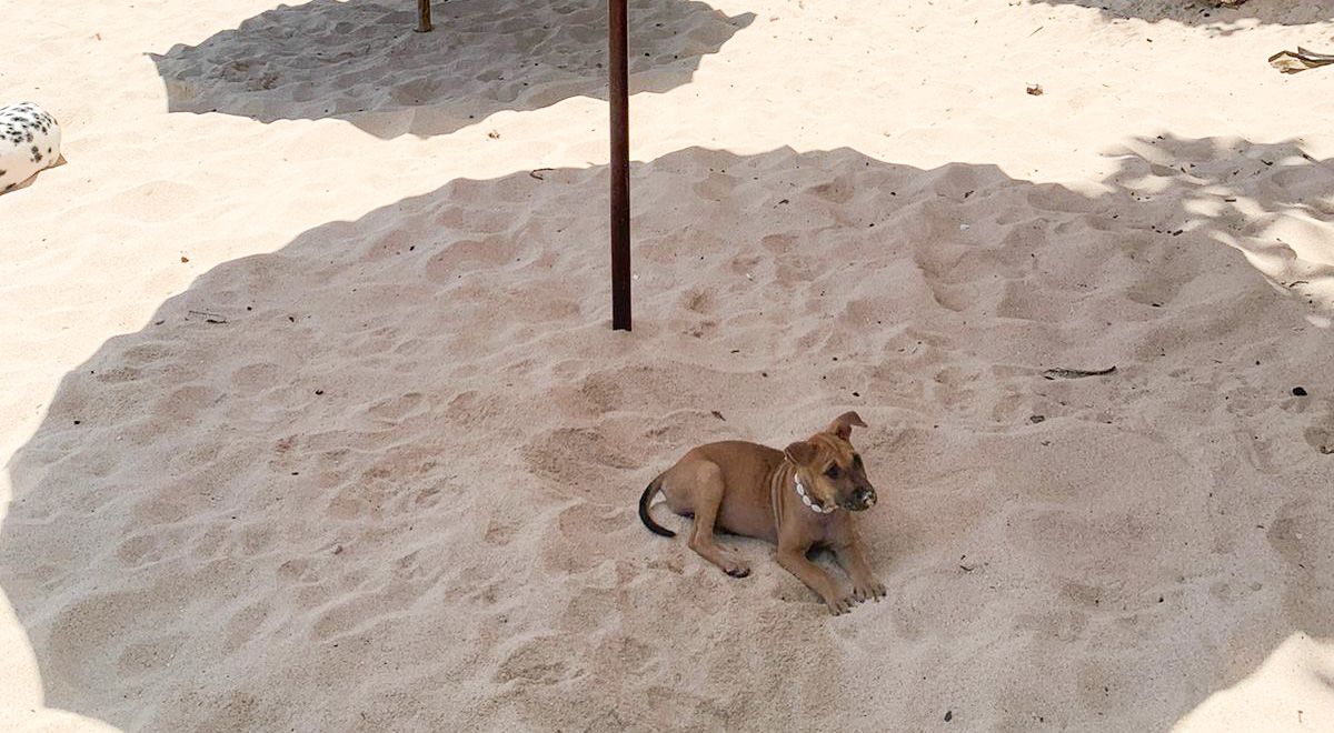 Zoe in Bali