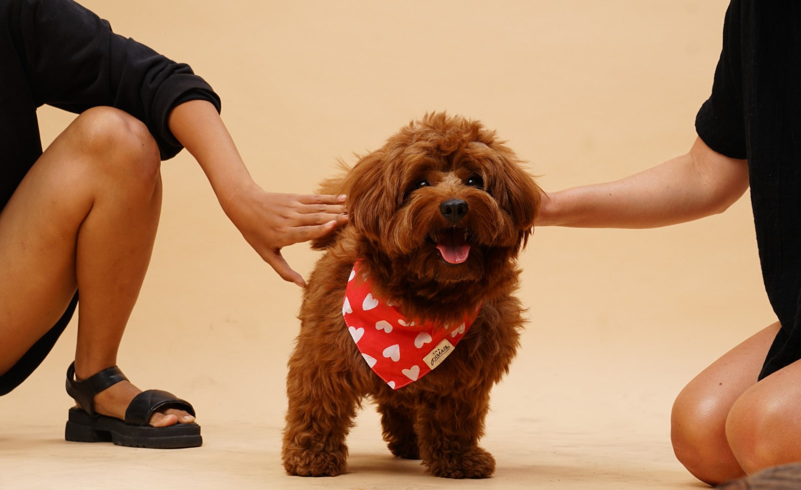 Studio Product Photography in Bali with The Paws
