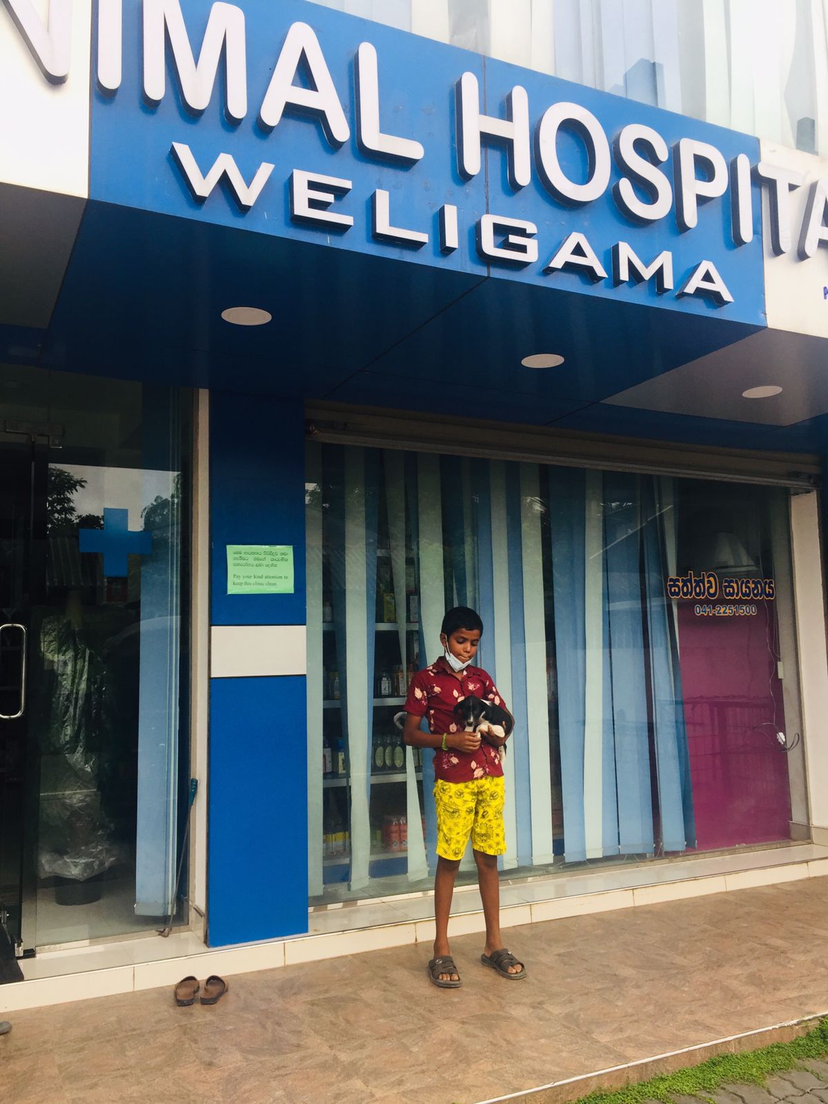 Weligama Animal Hospital - Sri Lanka