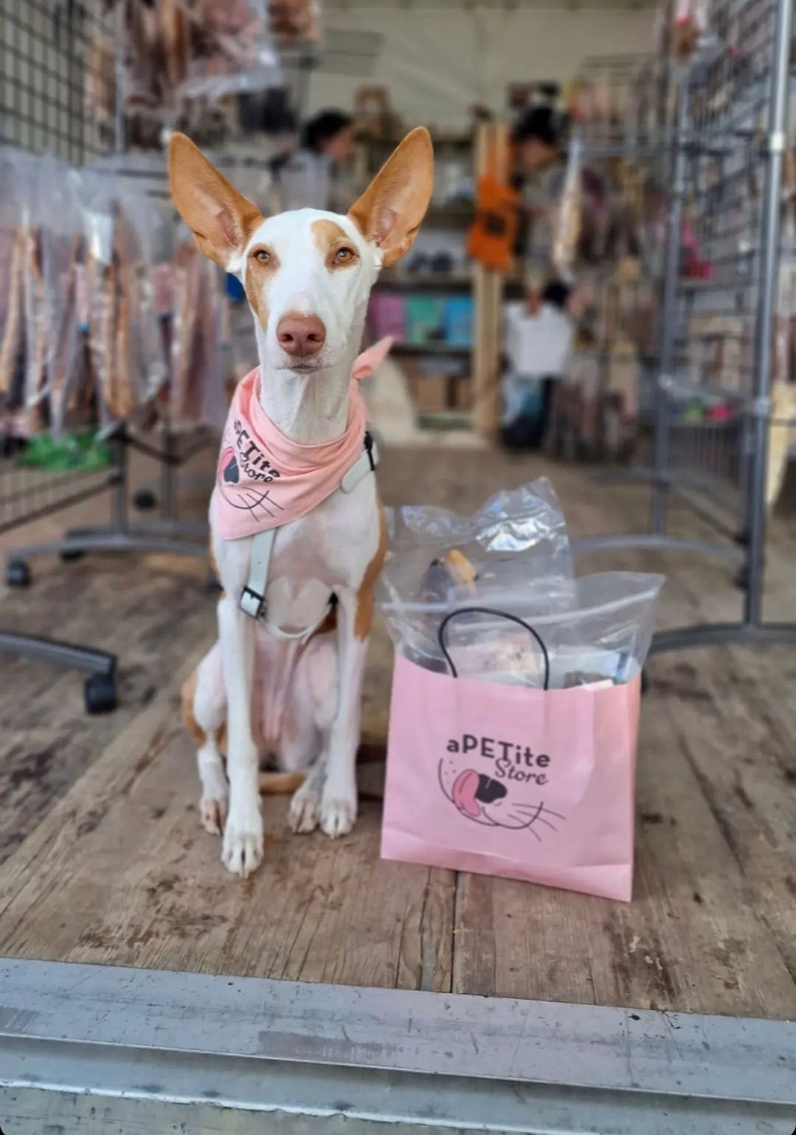 aPETite Bandanas - from The Paws