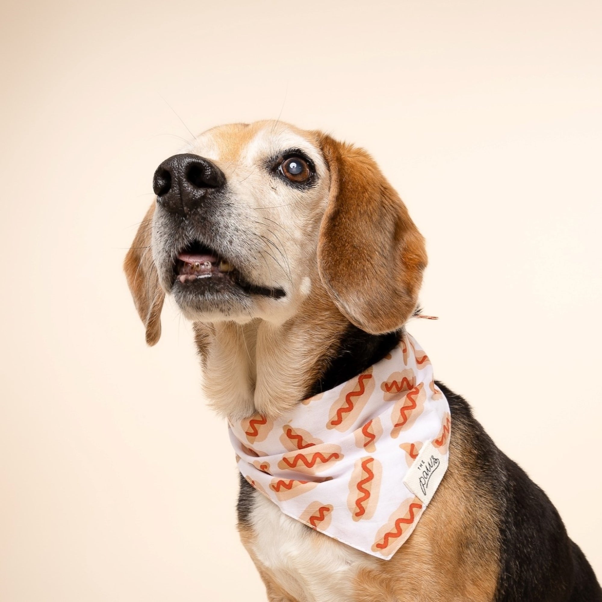 Sizzle Hotdog Bandana