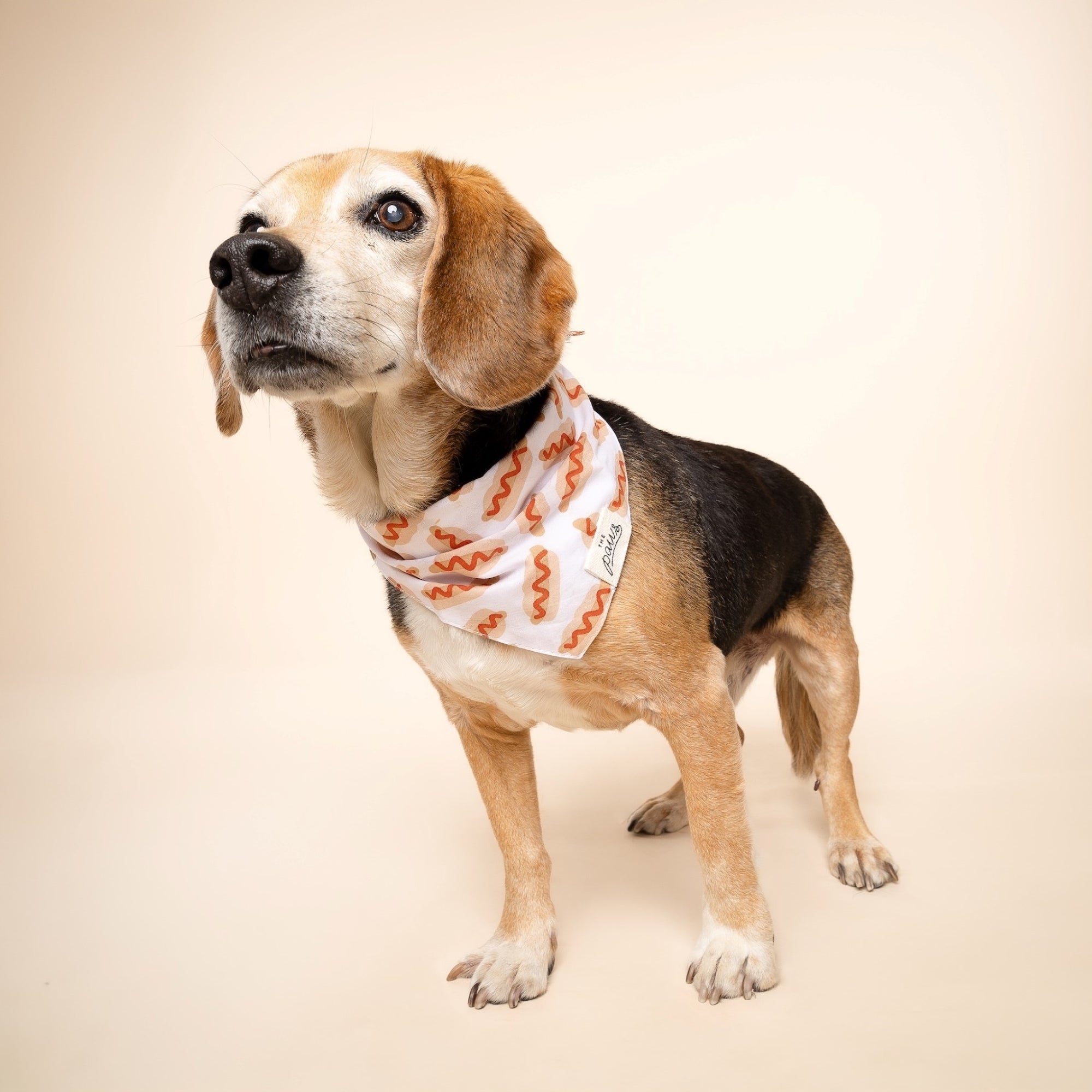 Sizzle Hotdog Bandana