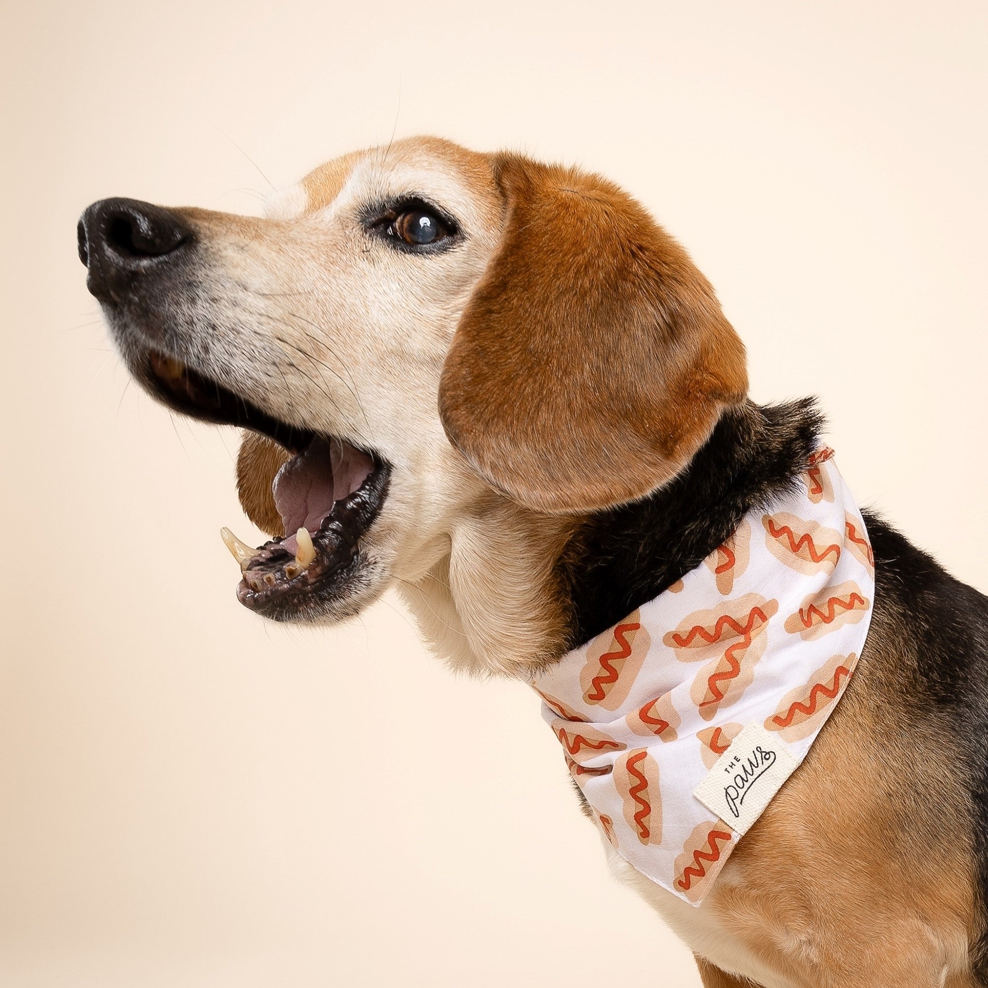 Sizzle Hotdog Bandana