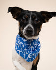 Oceans Dog Bandana