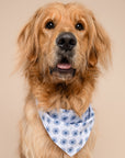 Alfie Dog Bandana