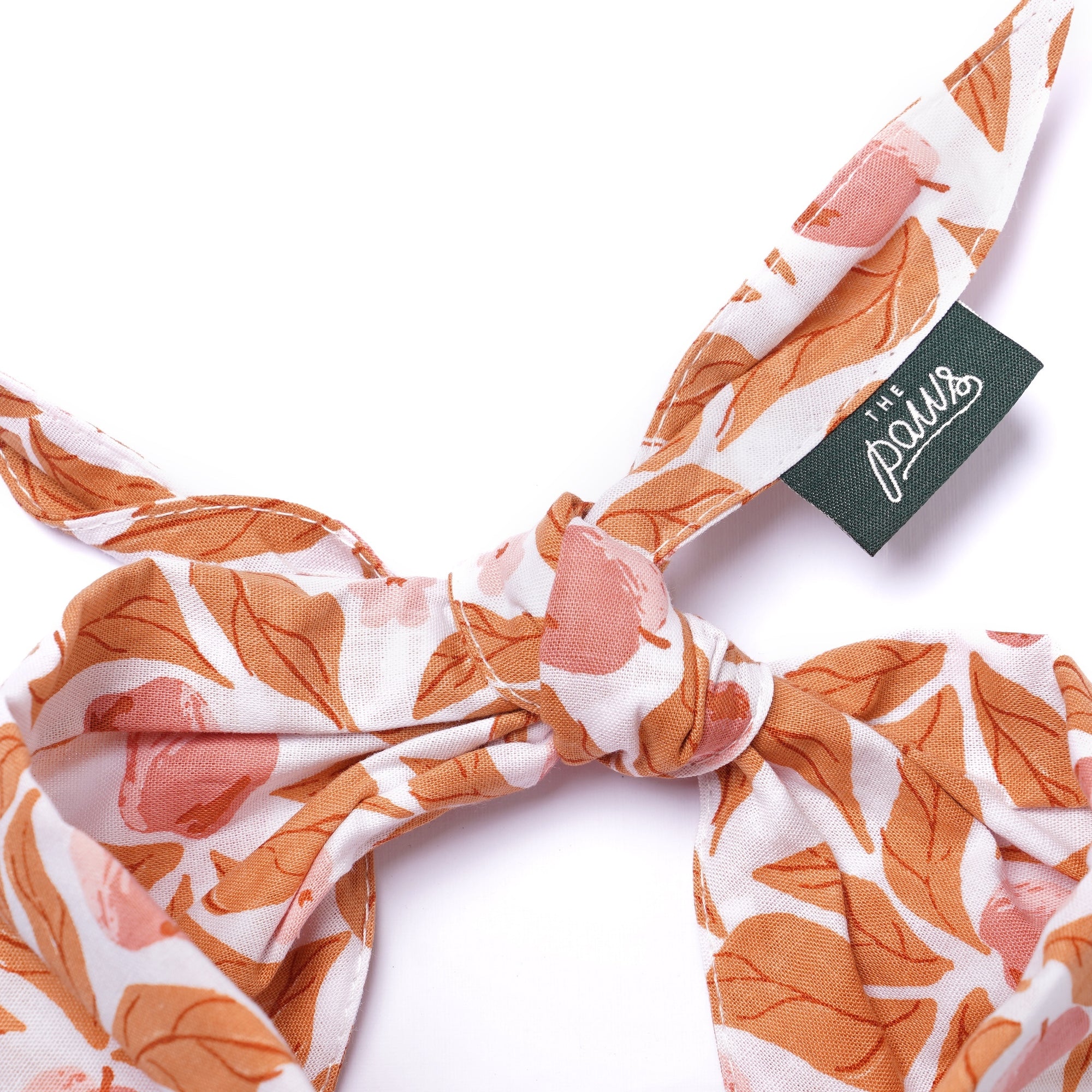 Apple Crisp Dog Bandana from The Paws Detail