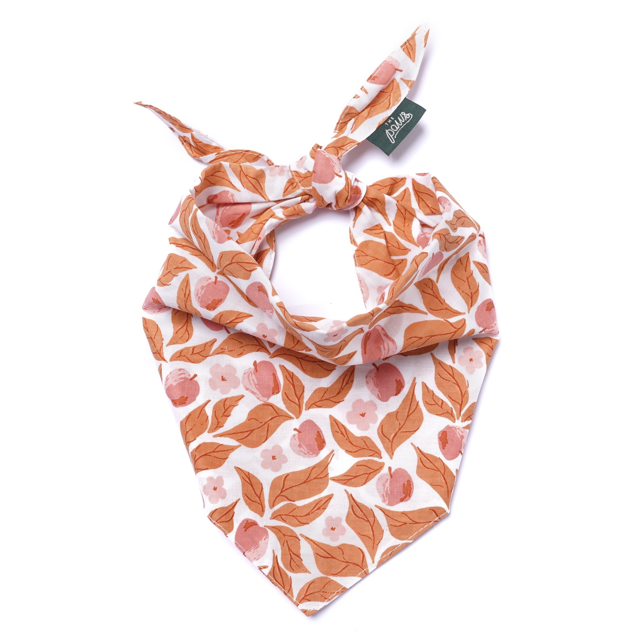 Apple Crisp Dog Bandana from The Paws