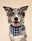 Apres Plaid Dog Bandana
