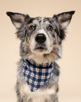 Apres Plaid Dog Bandana