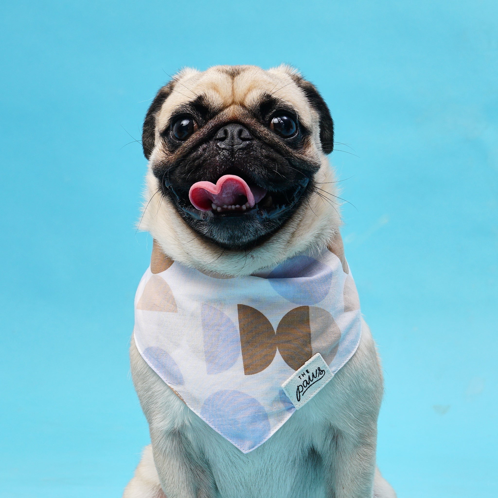 Astro Dog Bandana from The Paws