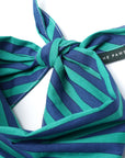 A close-up of a striped pet scarf tied in a knot, featuring alternating teal green and navy blue stripes. A black fabric brand tag reading 'THE PAWS' is visible on the side.