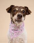 Azelia Bandana from The Paws