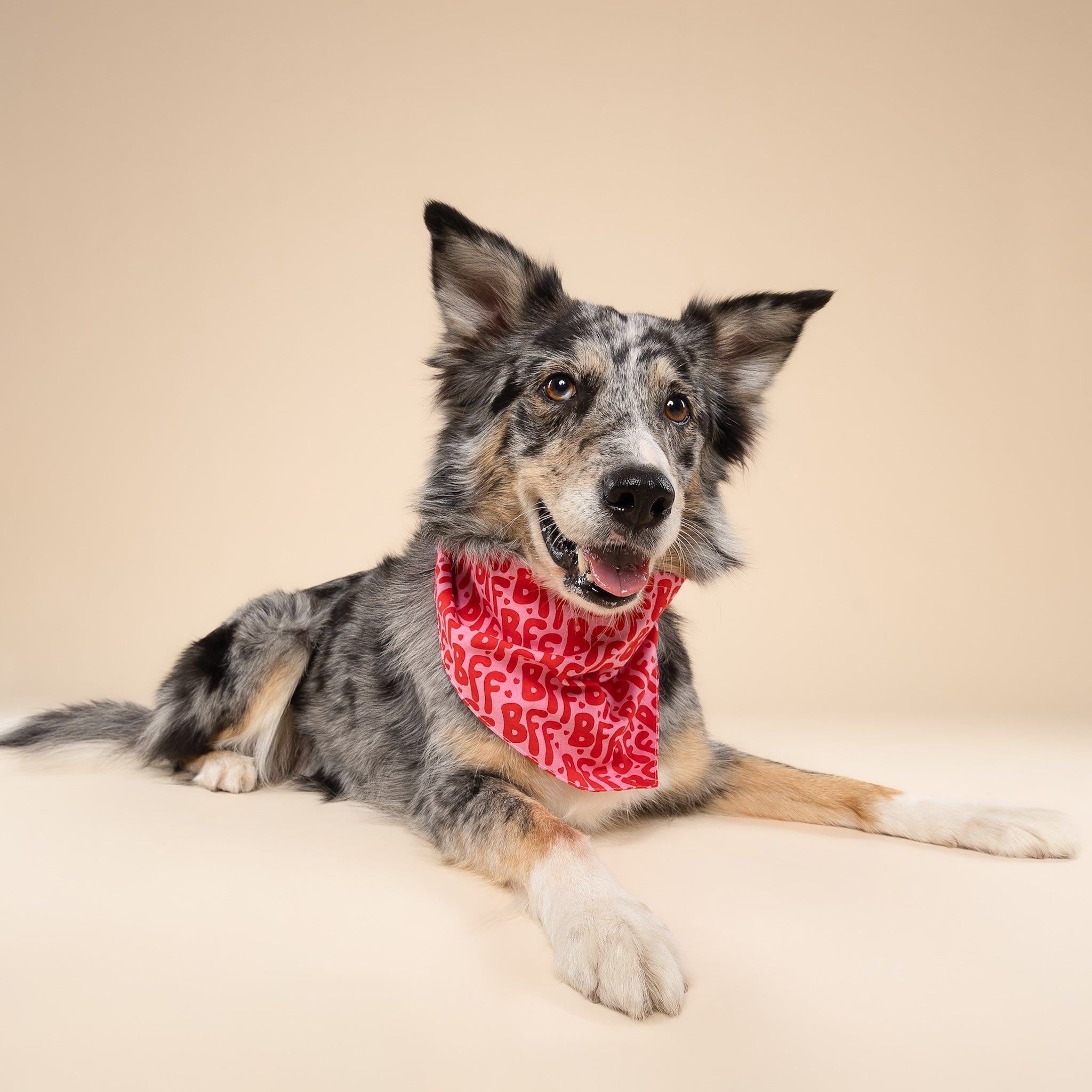 BFF Dog Bandana