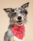 BFF Dog Bandana