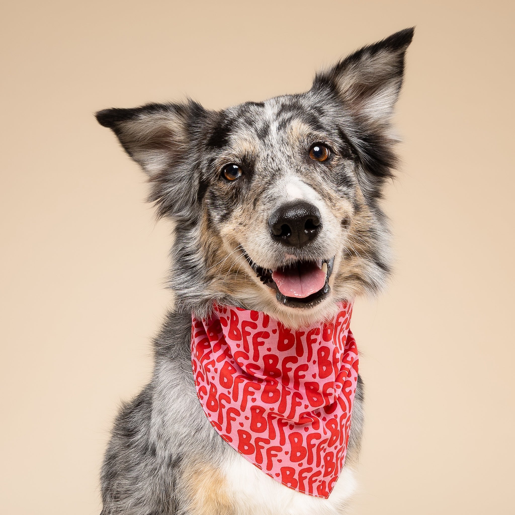 BFF Dog Bandana