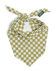Little Checkmate Dog Bandana