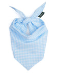 Blue checkered bandana tie on style on a white background