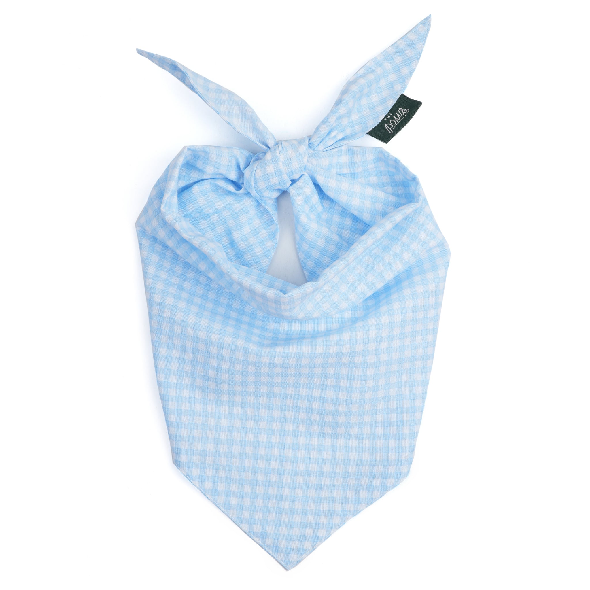 Blue checkered bandana tie on style on a white background
