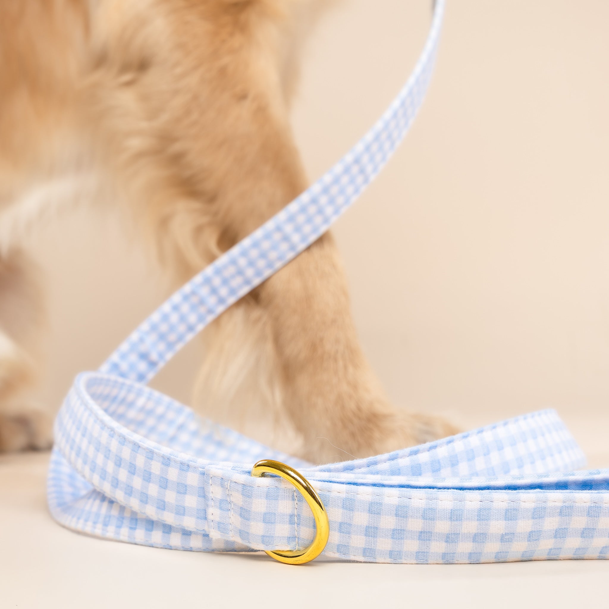 Baby Blue Gingham Leash