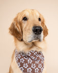 Bali Hibiscus Dog Bandana