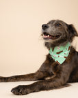 Batter Up Dog Bandana