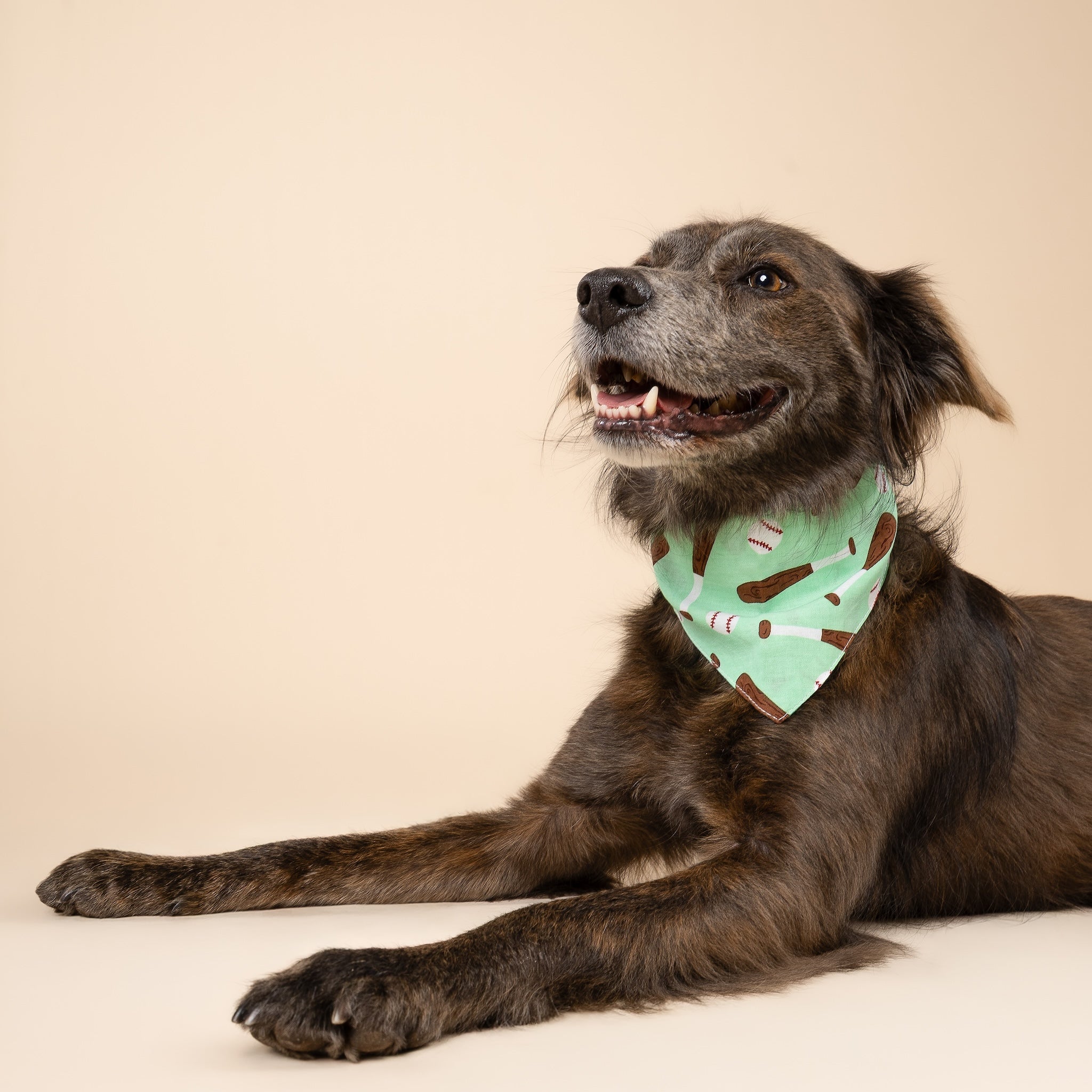 Batter Up Dog Bandana