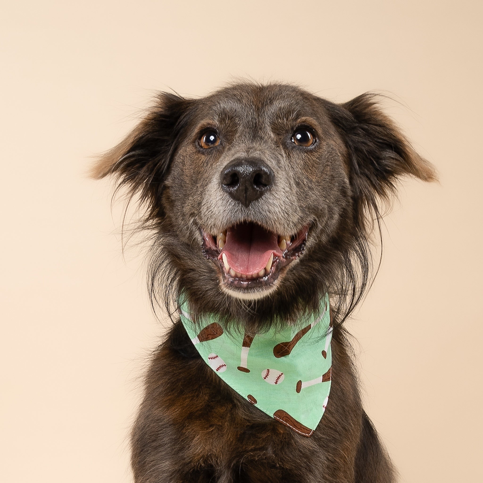 Batter Up Dog Bandana