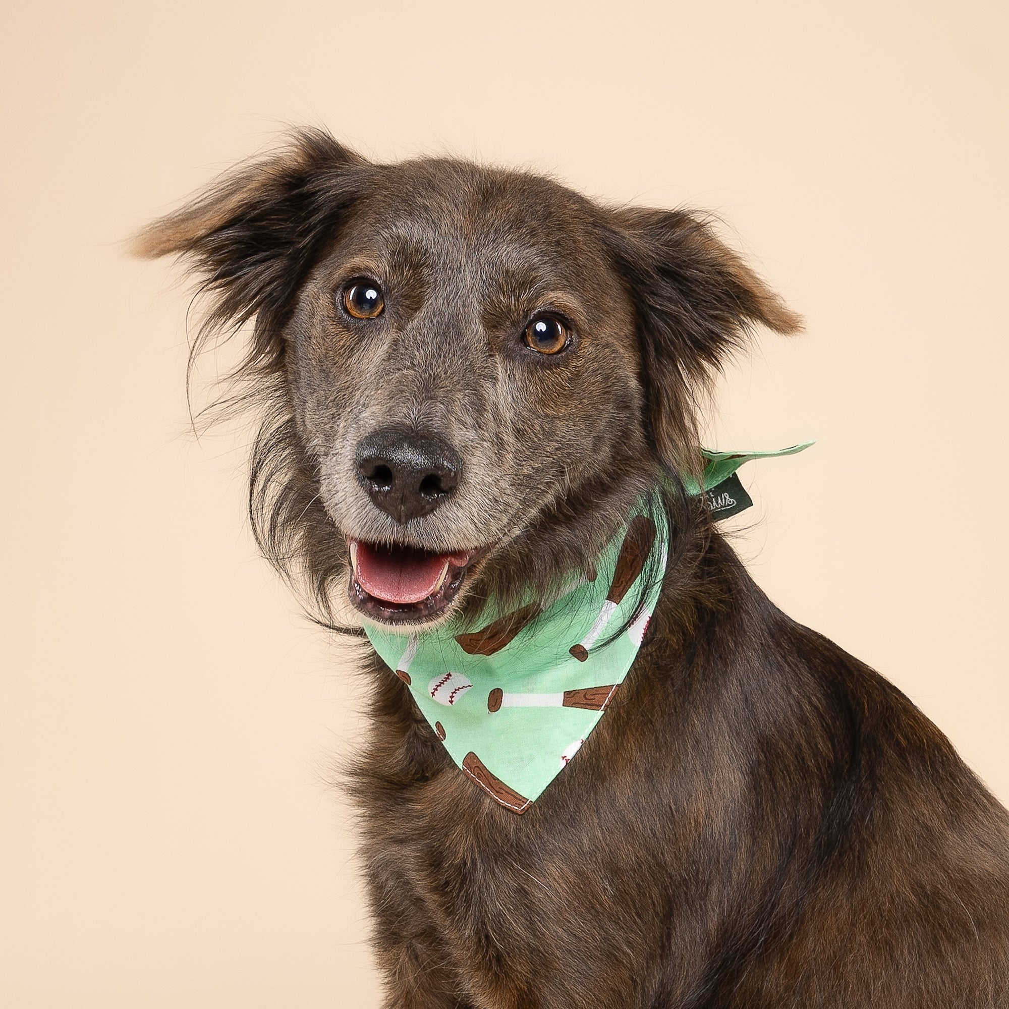 Batter Up Dog Bandana