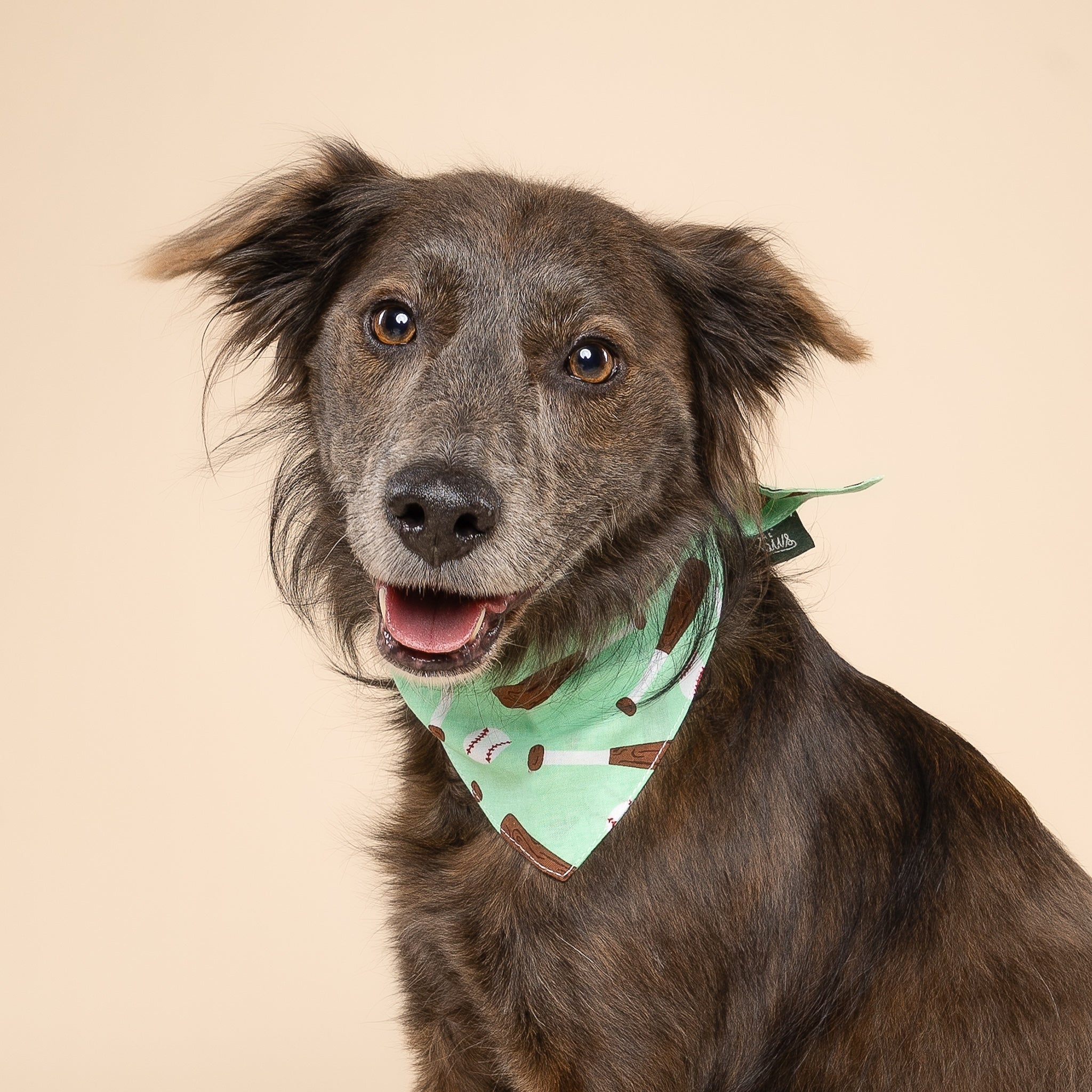 Batter Up Dog Bandana