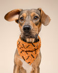 Batty Dog Bandana