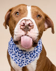 Berry Dog Bandana