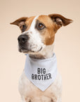 My Big Brother Dog Bandana