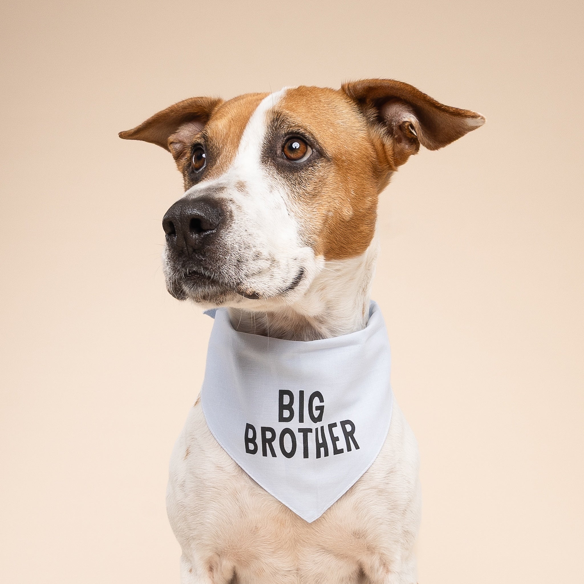 My Big Brother Dog Bandana