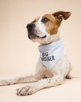 My Big Brother Dog Bandana