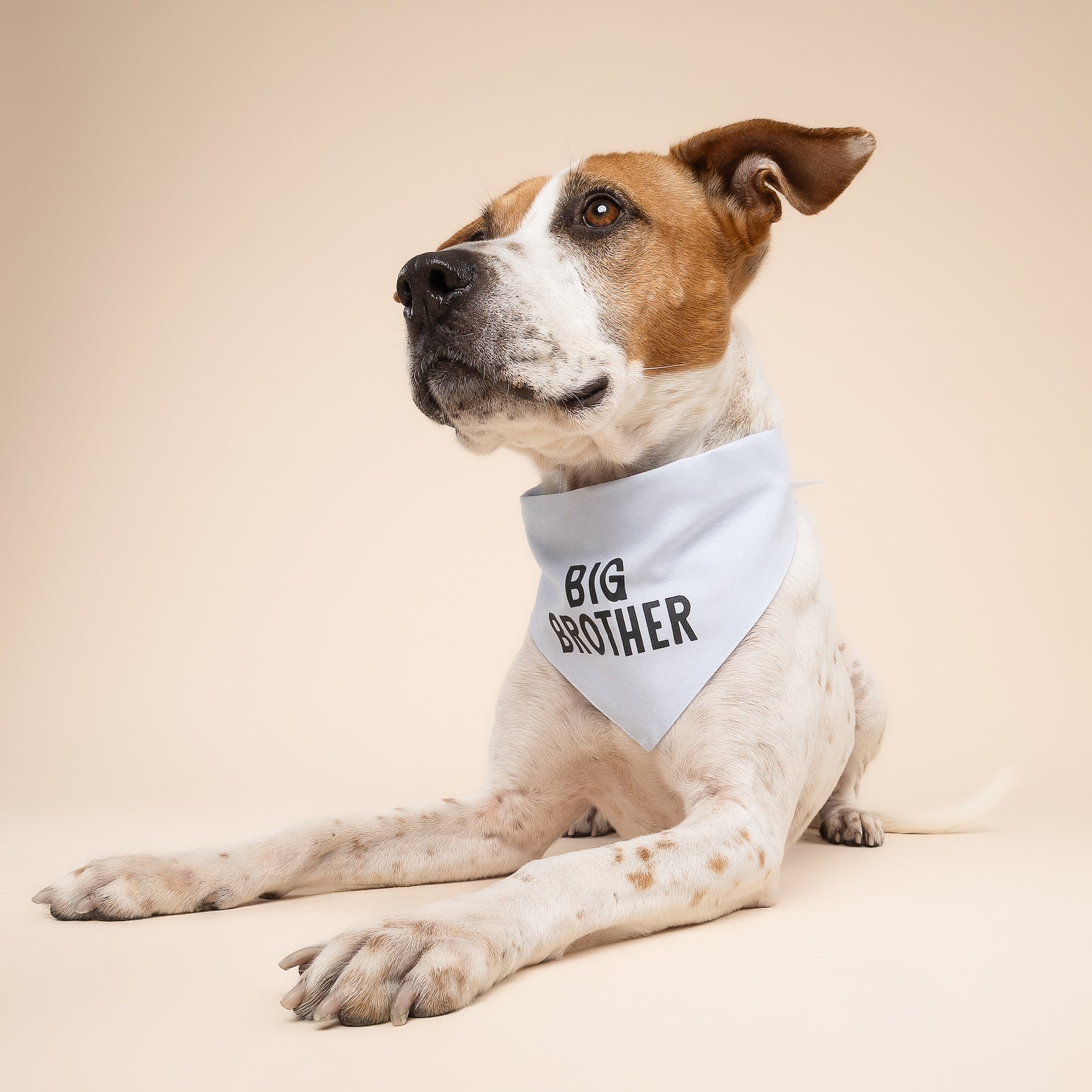 My Big Brother Dog Bandana